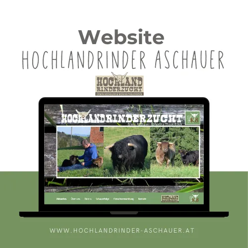 Website von Hochlandrinder Aschauer
